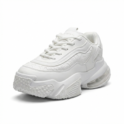msnm1